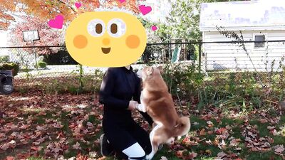 Zoo porn girls: dog fucking ass girls