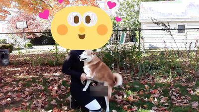 Zoo porn girls: dog fucking ass girls