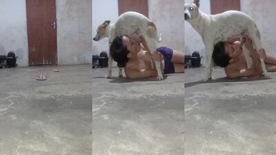Dog sex: first dog sex