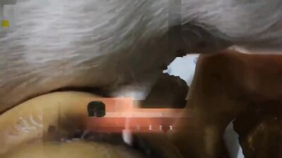 Zoo porno video: bestiality webcam