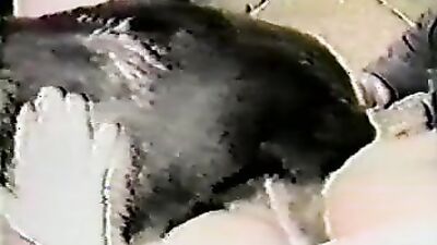 3d dog sex: yandex animal porno