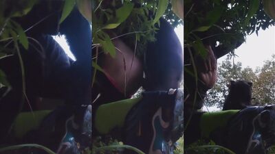 2 dogs 1 girl: bestiality rule34 art porn pics