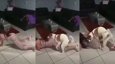 Art of zoo porn: dog porn little girls