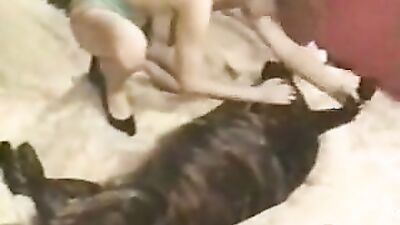 Bestiality: extreme bestiality