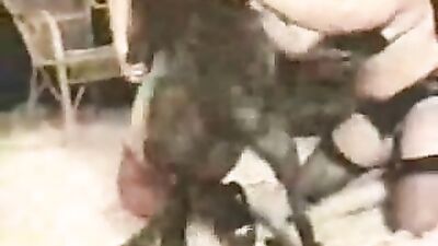 Dog girl anal: jav bestiality porn2026