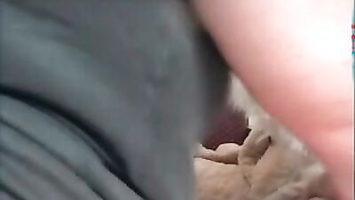Bestiality xxx: girl riding dog cock