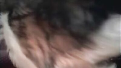 Bestiality xxx: girl riding dog cock