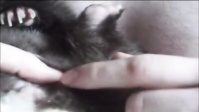 Fucking dogging porn: project desert storm art of zoo