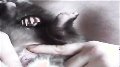 Fucking dogging porn: project desert storm art of zoo