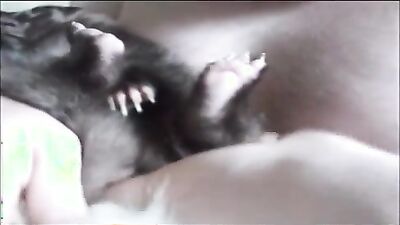 Fucking dogging porn: project desert storm art of zoo