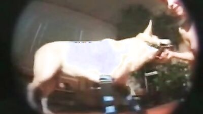 1 girl 5 dog: asian dog sex