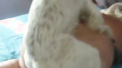 Dog porn video: zoophilia sex tick