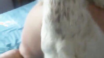 Dog porn video: zoophilia sex tick
