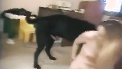 Dog porn: real animal porn