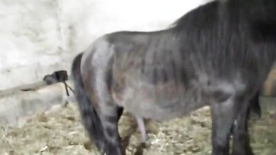 Dog get girl: porn photos dogging