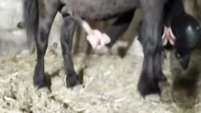 Dog get girl: porn photos dogging