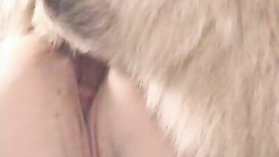 Bestiality sex id: download zoo video