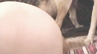 Bestiality sex id: download zoo video