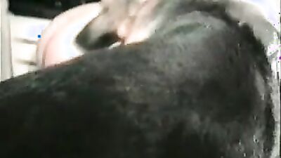 Boy girl dog: the london zoo go getter 1 video