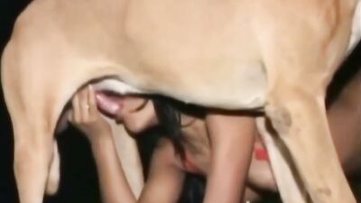 Mimi dog porn: furry animals porn