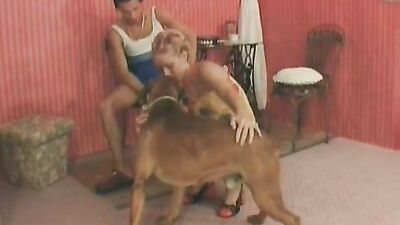 Dog sex: sex with husband and dog