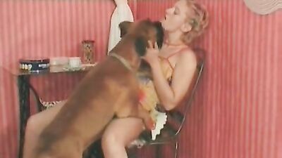 Dog sex: sex with husband and dog