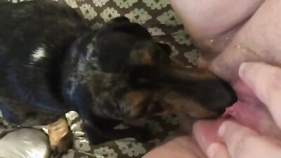 Dog fuck girls fucking: russian zoo sex video