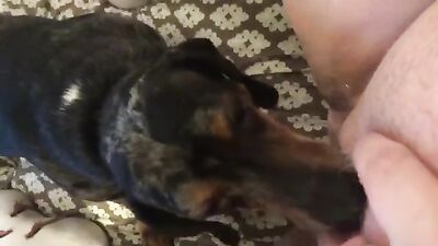 Dog fuck girls fucking: russian zoo sex video