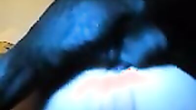 Zoo fuck porn: porn girl with a dog draining