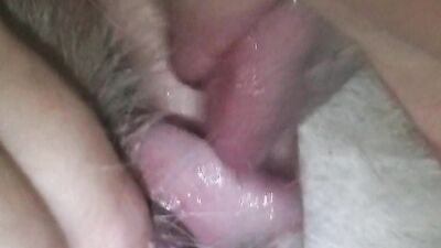 Zoo sex porno: dog rimming porn