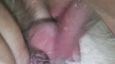 Zoo sex porno: dog rimming porn