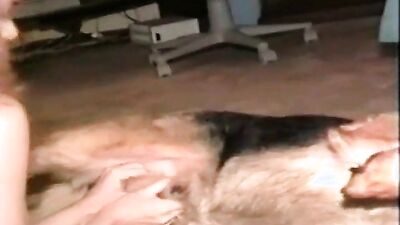 3d dog porn: nsfw bestiality