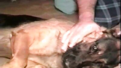 3d dog porn: nsfw bestiality