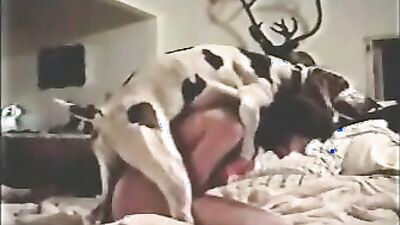 Animal sex: dog fuck girl ass 18