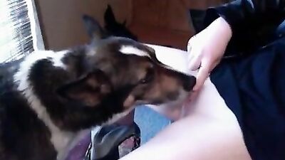 Bestiality dog: free zoo sex