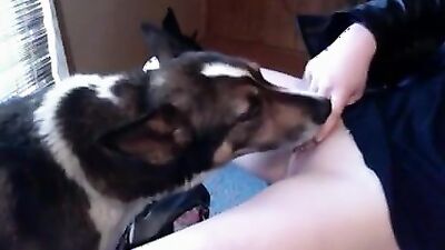 Bestiality dog: free zoo sex