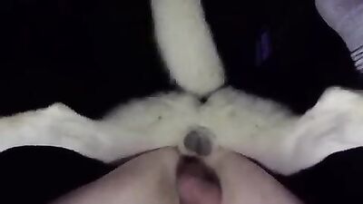 Bestiality sex: teen first time sex with dog vid