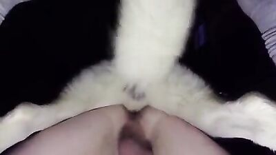 Bestiality sex: teen first time sex with dog vid