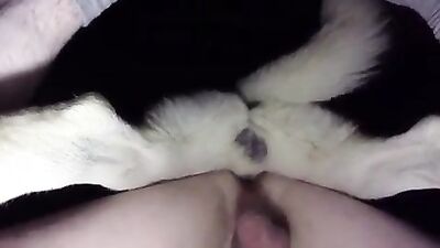 Bestiality sex: teen first time sex with dog vid