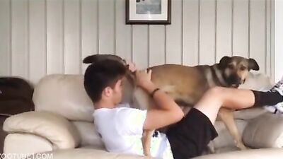 Girl cat dog: dog hard fuck porn