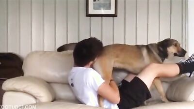 Girl cat dog: dog hard fuck porn