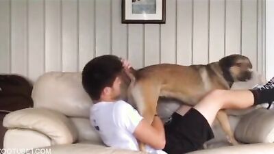 Girl cat dog: dog hard fuck porn