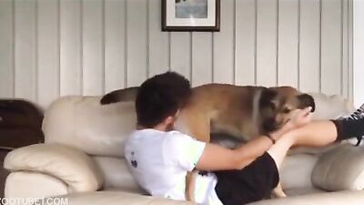 Girl cat dog: dog hard fuck porn