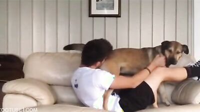 Girl cat dog: dog hard fuck porn