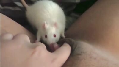 Dogs having sex: bestiality zoophilia