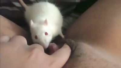 Dogs having sex: bestiality zoophilia
