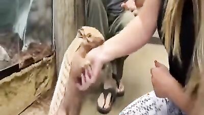 Dog gay porn: sex orgasm dog