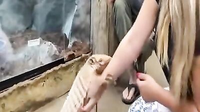 Dog gay porn: sex orgasm dog