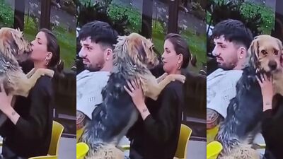 Art of zoo: vk com notsafe 1 porn zoo