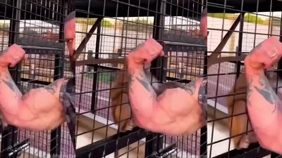 Zoo video: sex animals comics nudemoon